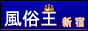 新宿 風俗情報